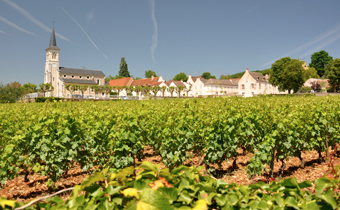 Charles lachaux , アロックスコルトン 2023 Charles Lachaux Aloxe