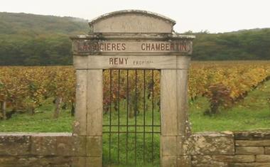 Subregion, France, Burgundy, Latricieres-Chambertin