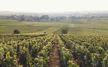 Dupont Tisserandot, Charmes Chambertin - Westgarth Wines